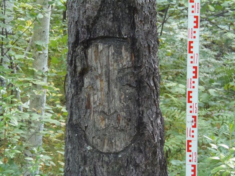 Урочище Чупрово