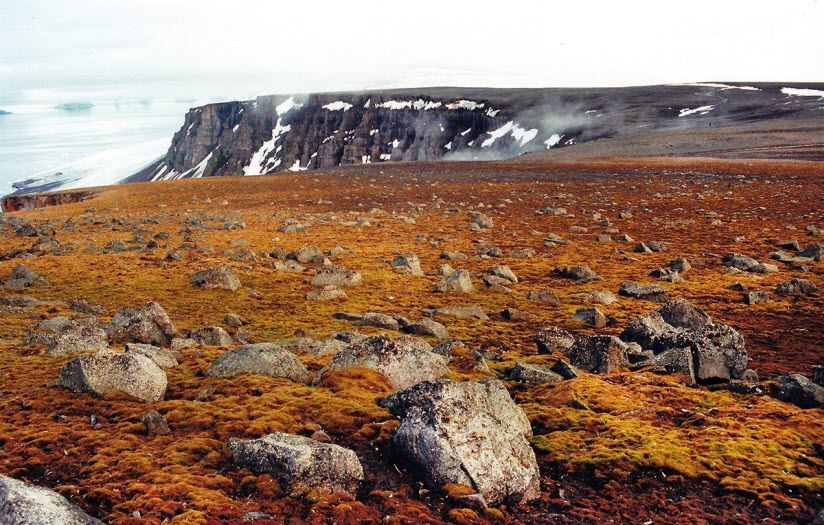 Природный заказник Земля Франца-Иосифа