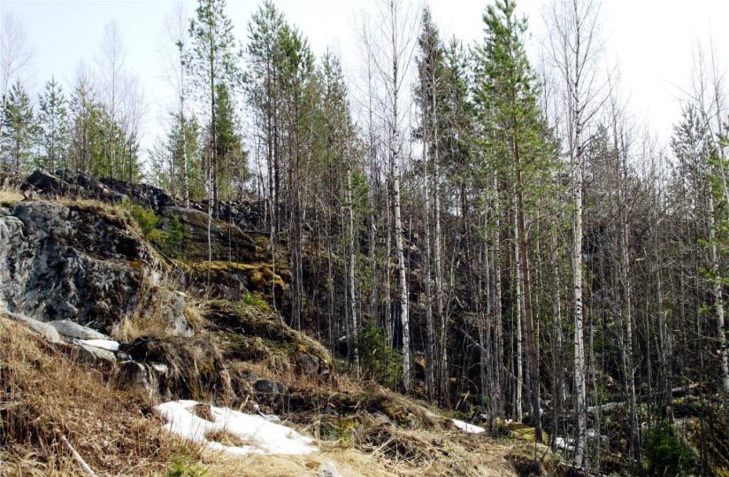 Ветреный пояс