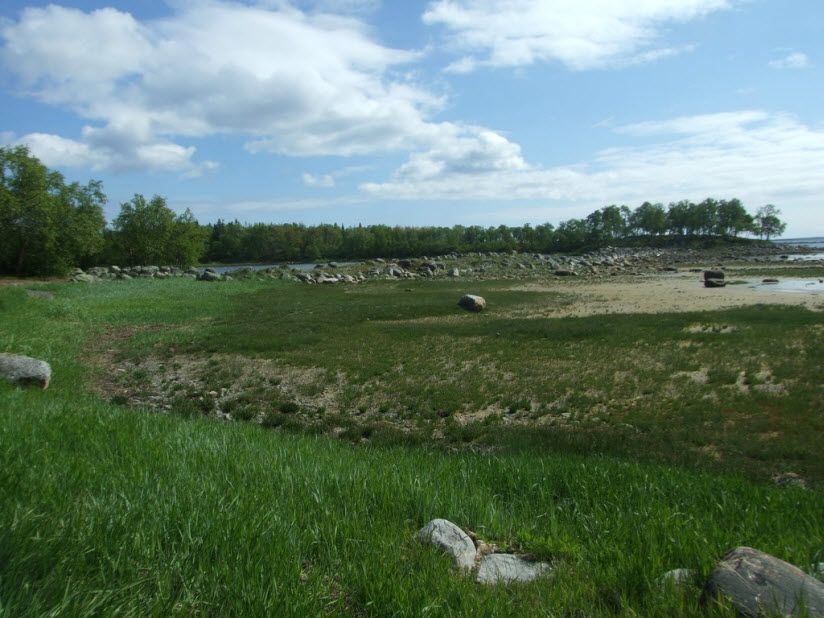 Филипповские садки