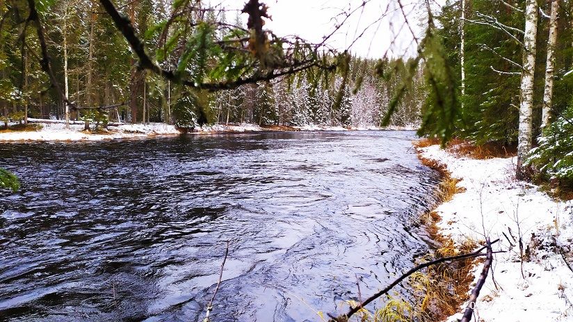 Озеро Кожозеро