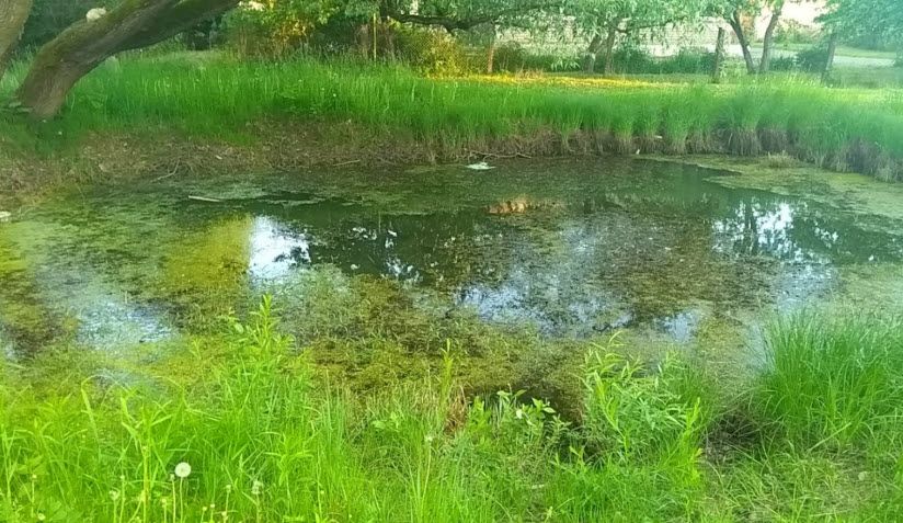 Пожарный пруд