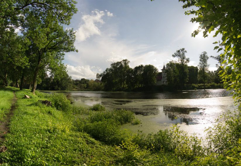 Мельничный пруд