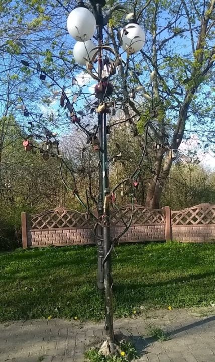 Дерево влюблённых