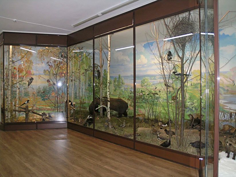 Музей природы края