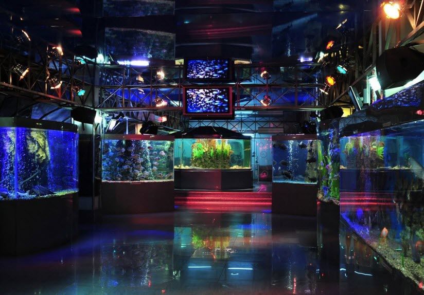 Океанариум «Океан-парк»