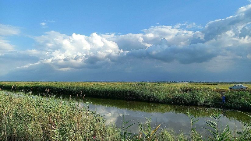 Река Кубань