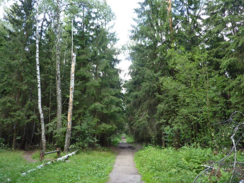 Кучинская лесопарковая зона