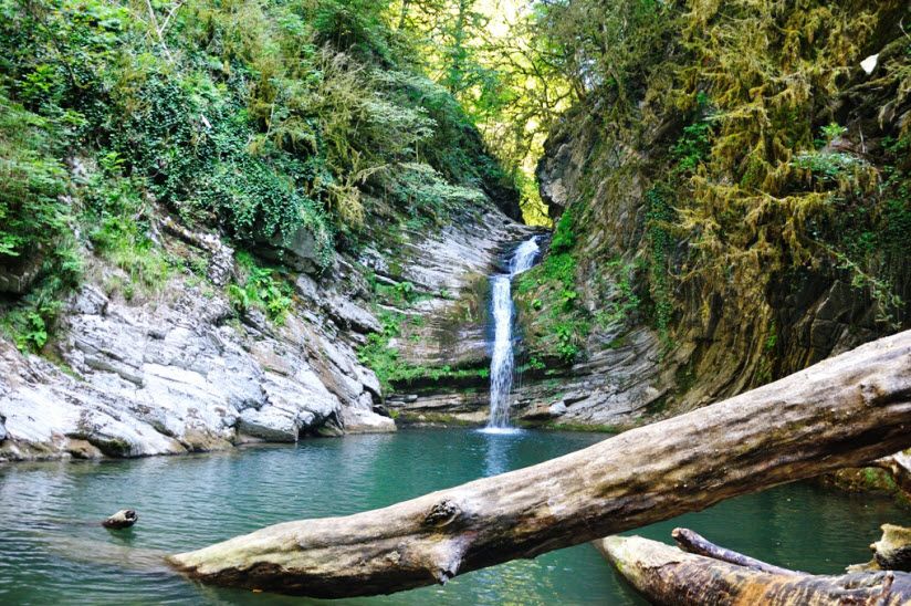 Самшитовый водопад