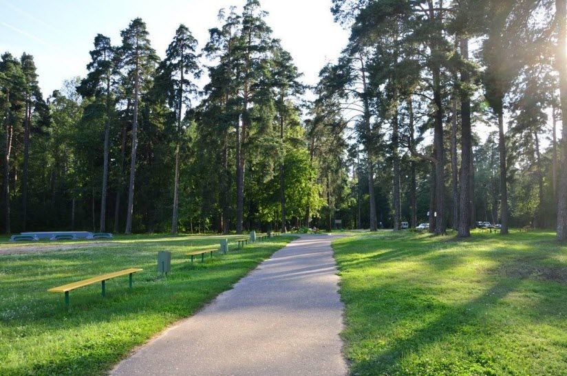 Комсомольская роща