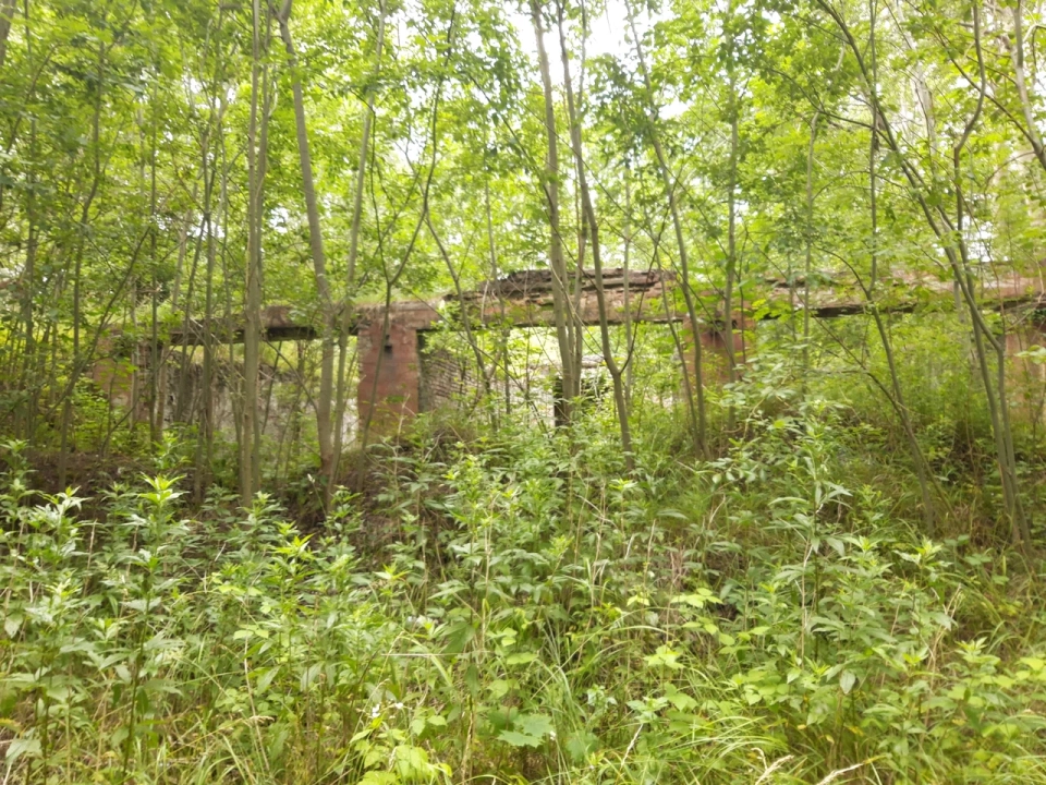 Укрепление Нойхойзер Шанце