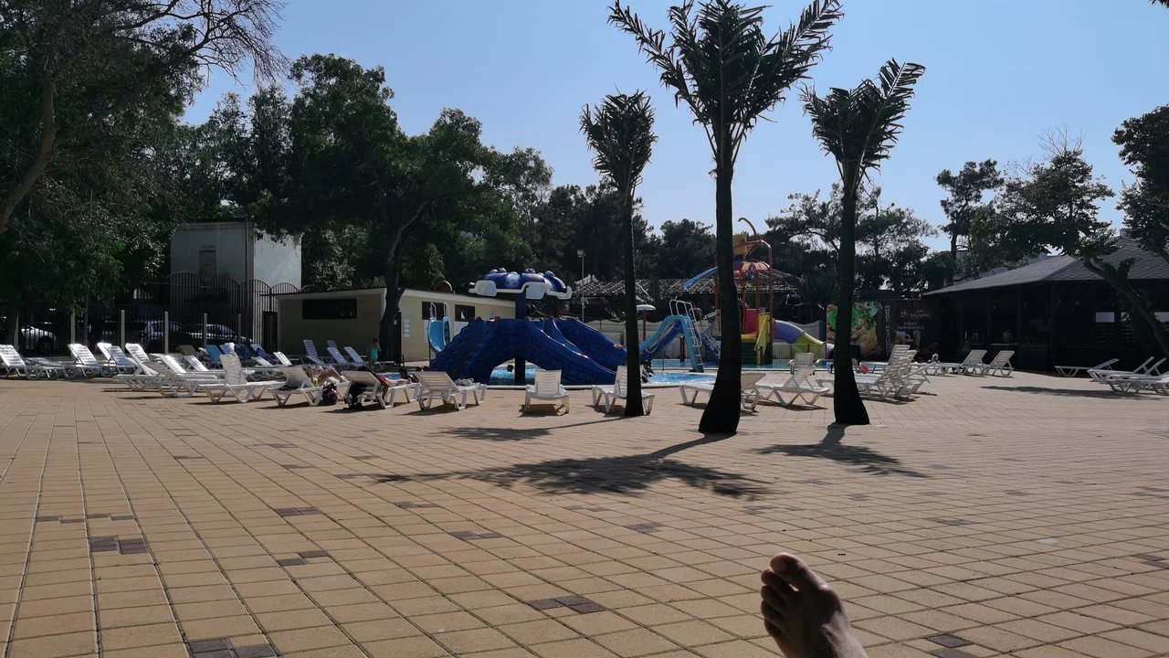 территория парка