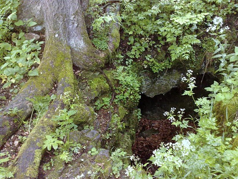 Пещера «Малая Азишская»