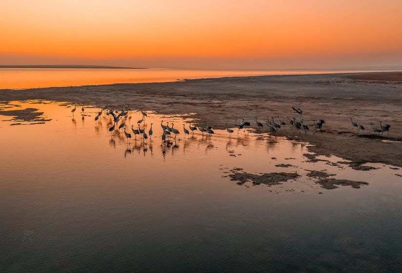 Озеро Маныч-Гудило