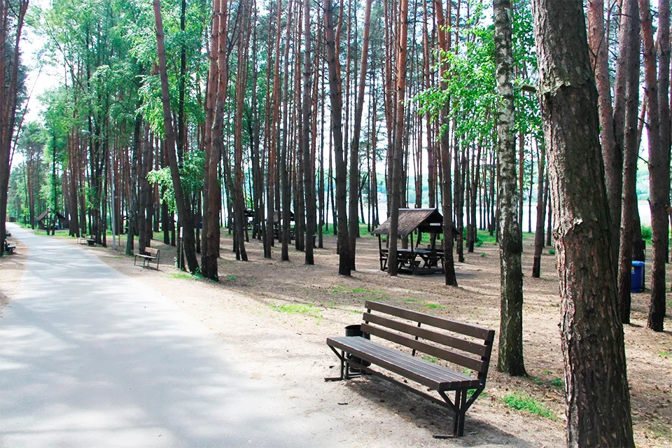 Пироговский (Мытищинский) лесопарк
