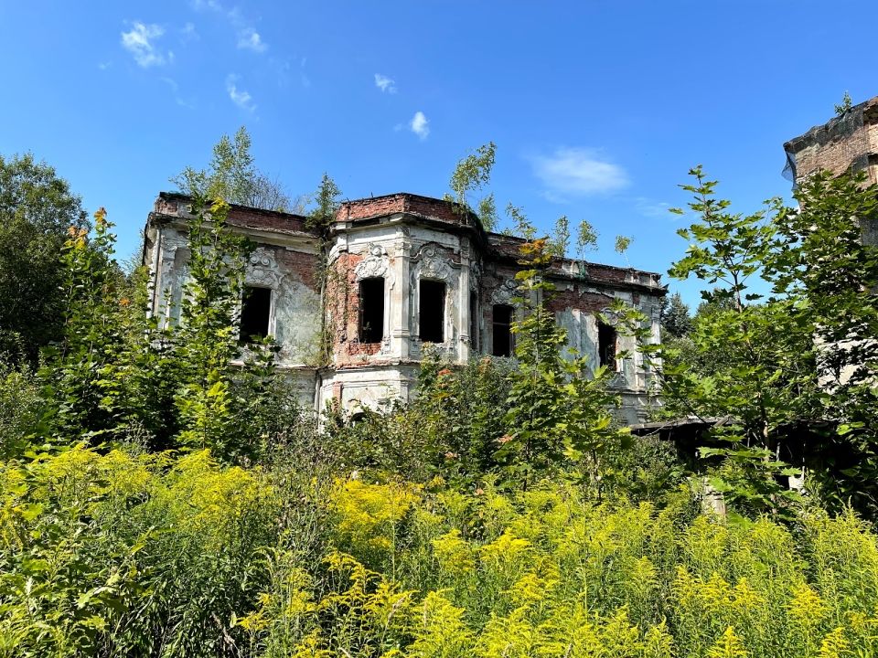 Усадьба Никольское-Прозоровское