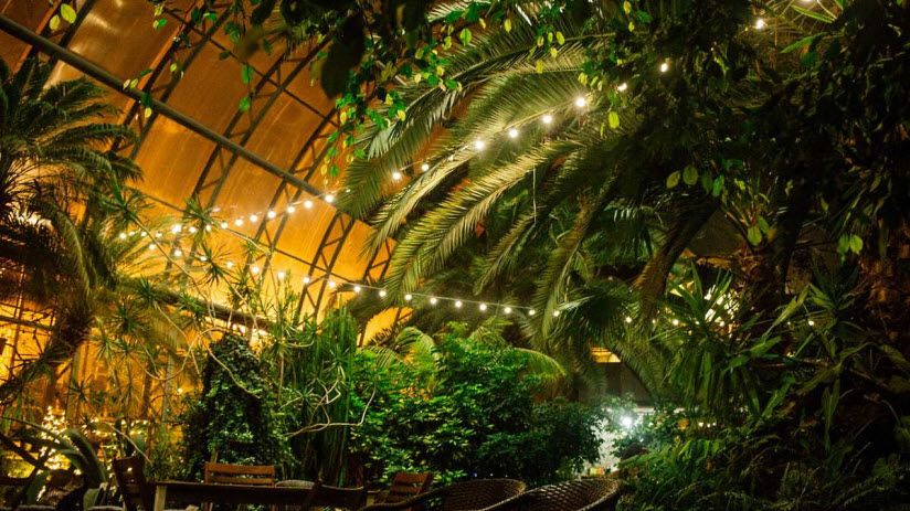 Оранжерея Таврического сада