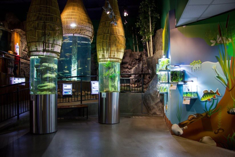 Океанариум