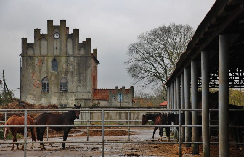Конный завод «Георгенбург»