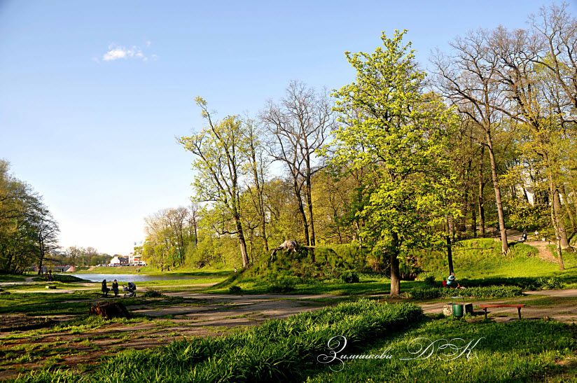 Городской парк
