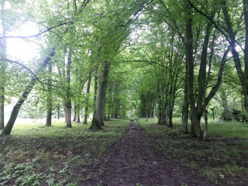 Парк Фриды Юнг