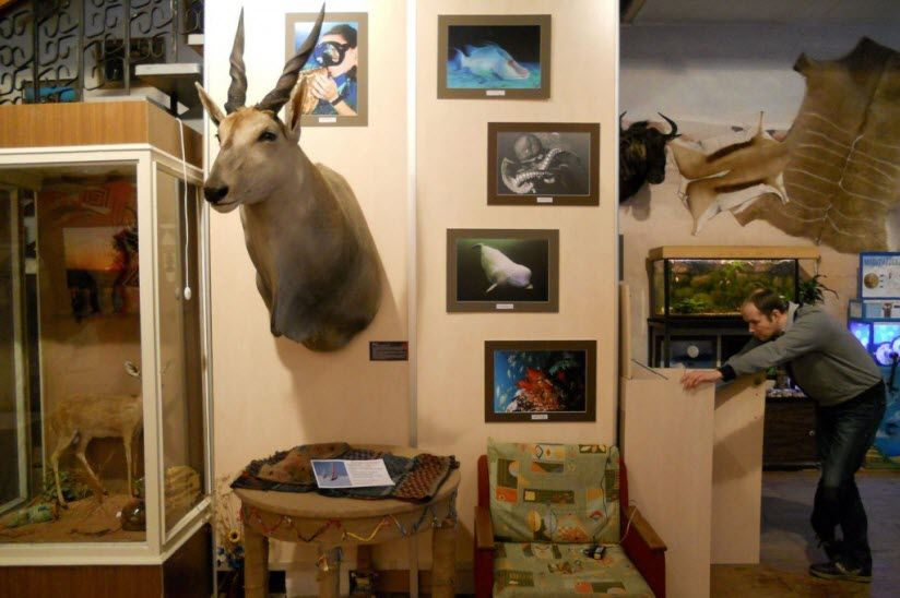 Музей природы