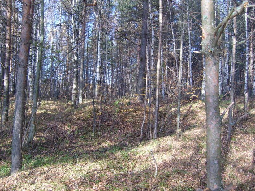 Михайловские курганы