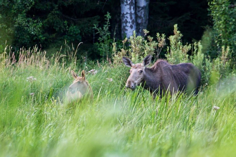 Дарвинский биосферный заповедник