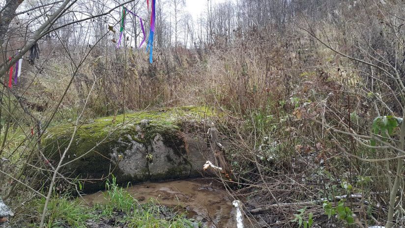 Петухов камень