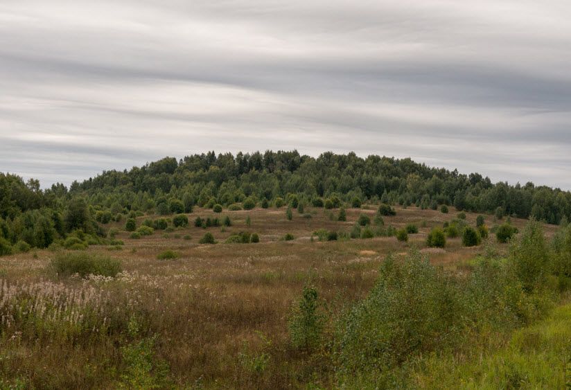 Тархов холм
