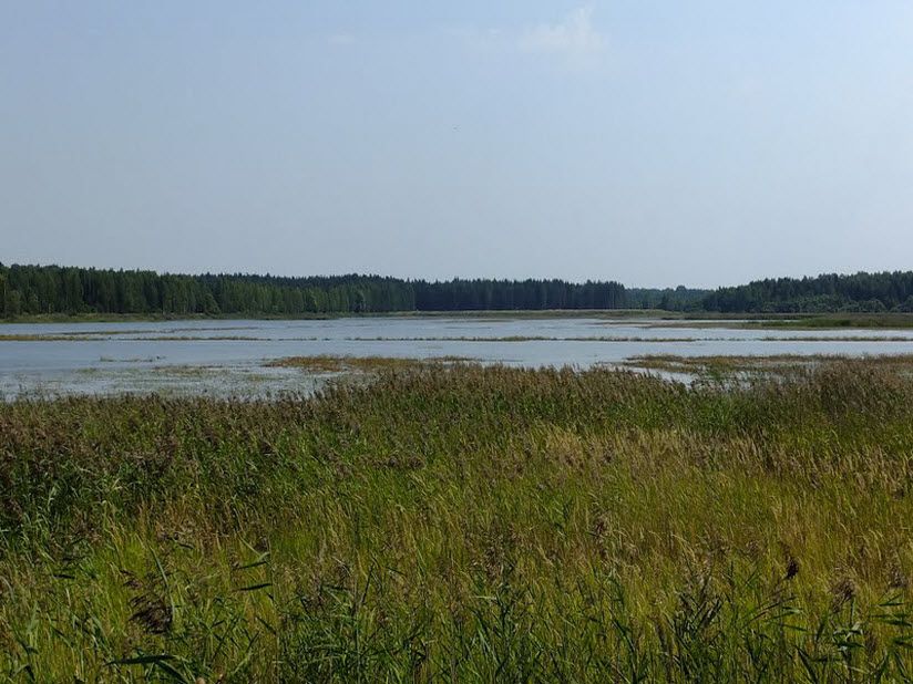 Озеро Вашутинское