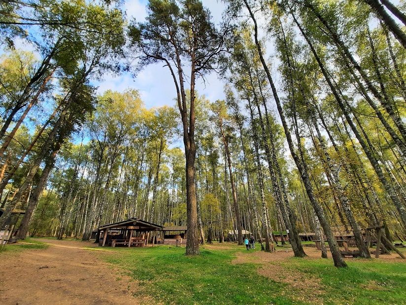 Музей-заповедник «Гнездово»