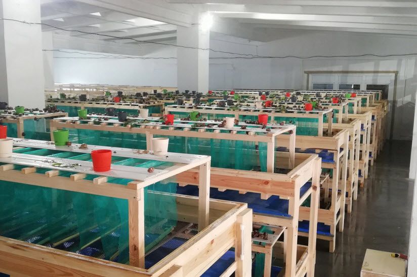 Музей Улитки