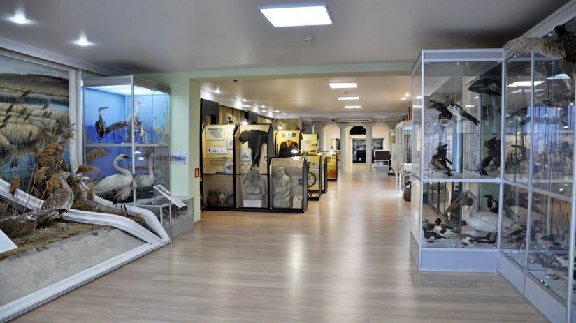 Историко-краеведческий музей