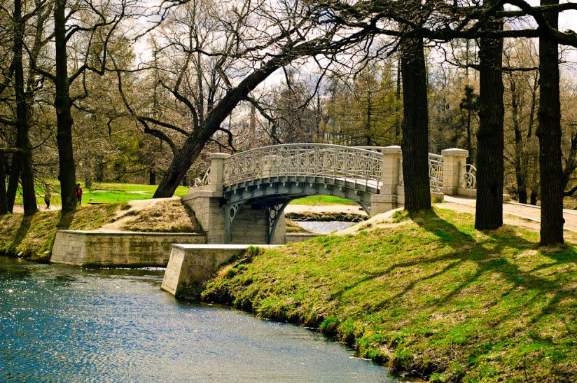 Дворцовый парк