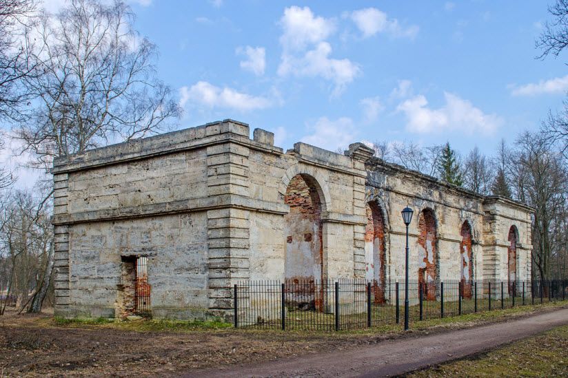 Лесная оранжерея