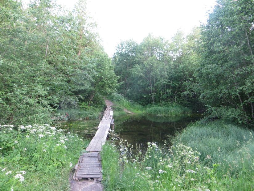 Орлова роща