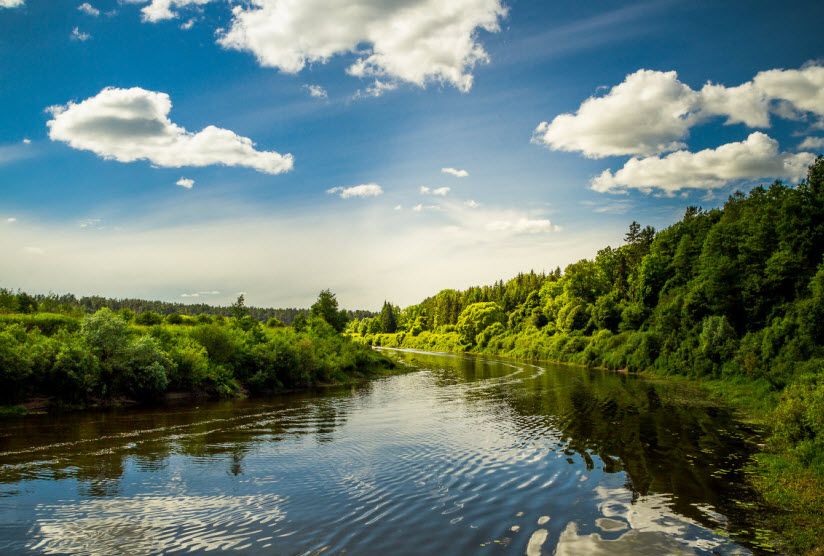 Река Шешупе