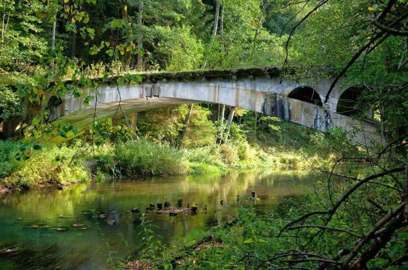 Виштынецкий лес