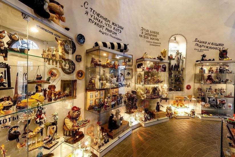 Музей кошек «Мурариум» в Зеленоградске