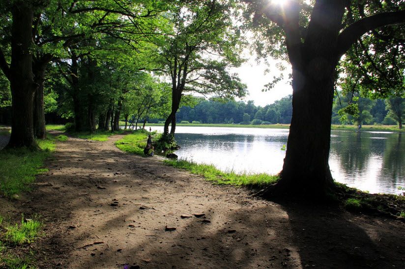 Лесное озеро