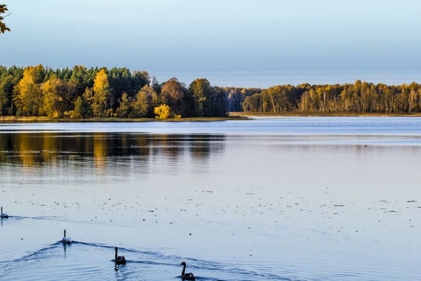 Виштынецкое озеро