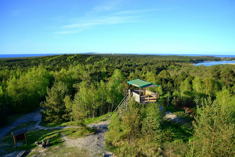 Высота Мюллера