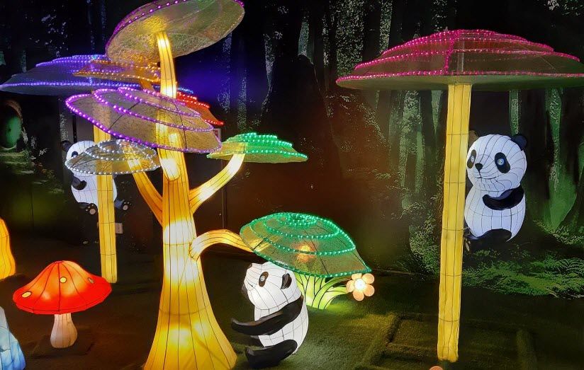 Музей «Вау Парк»