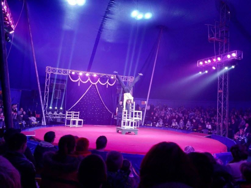 Цирк Династии Довгалюк