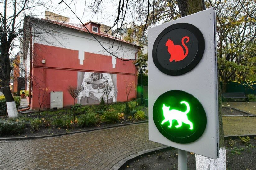 Арт-объект «Кошачий светофор»