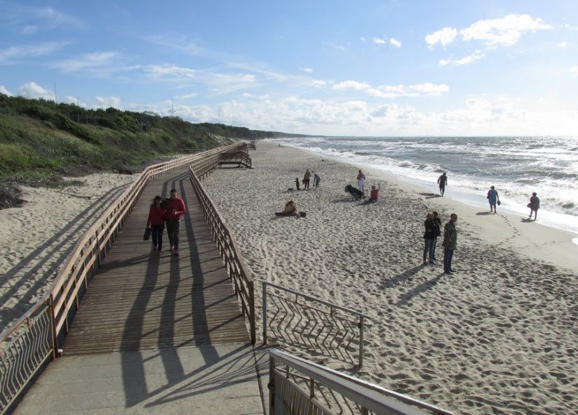 Куршская коса