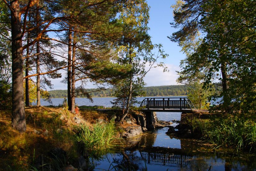 Парк Таруниemi