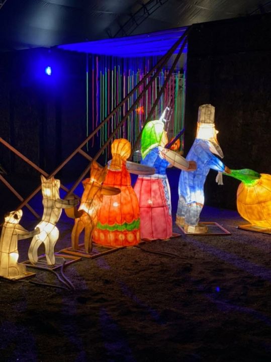 Уникальная выставка световых инсталляций «Северное сияние»