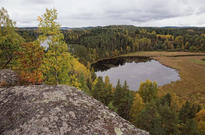 Гора Риуттавуори